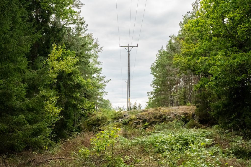 Elektros linijos nuotrauka