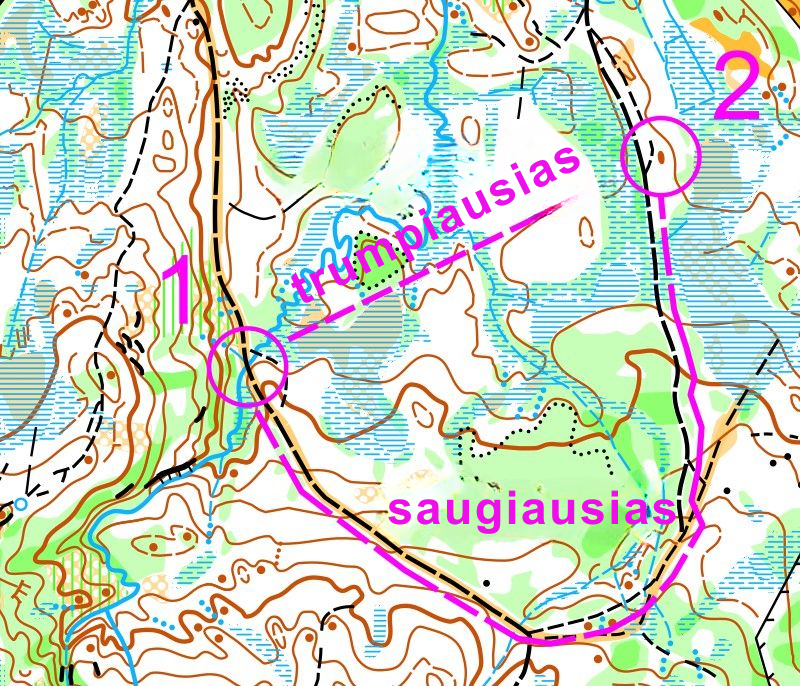 Žemėlapio fragmentas