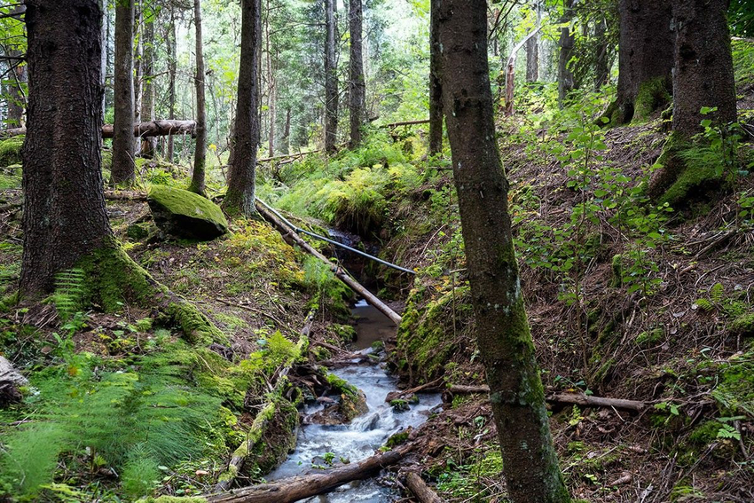 Upelis, siauras griovys