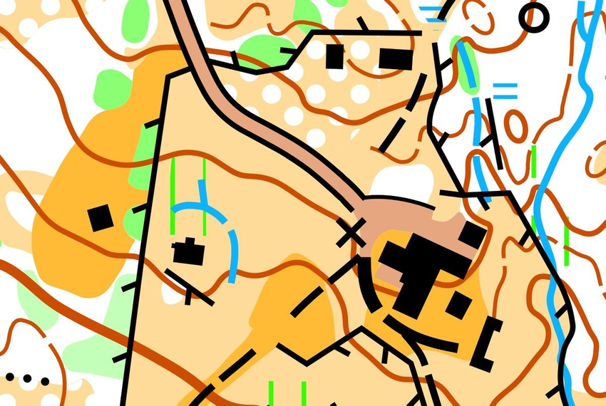 Orientuotas miško žemėlapis