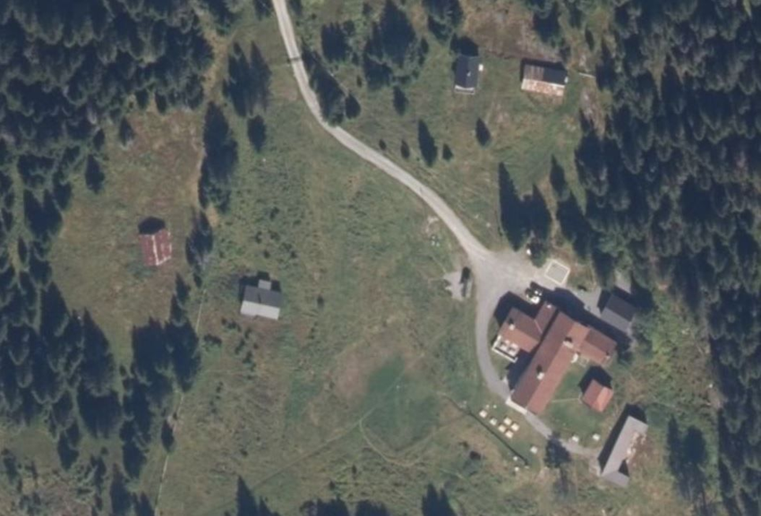 Miško oro nuotrauka