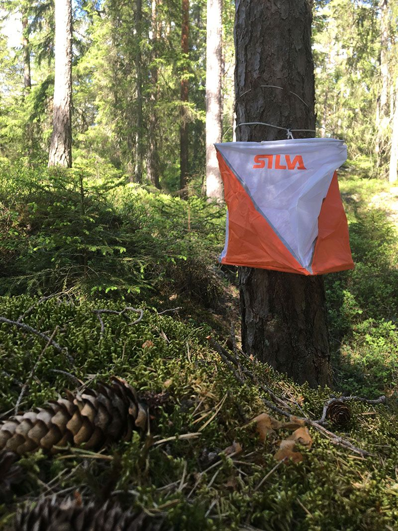 Kontrolinio punkto prizmė