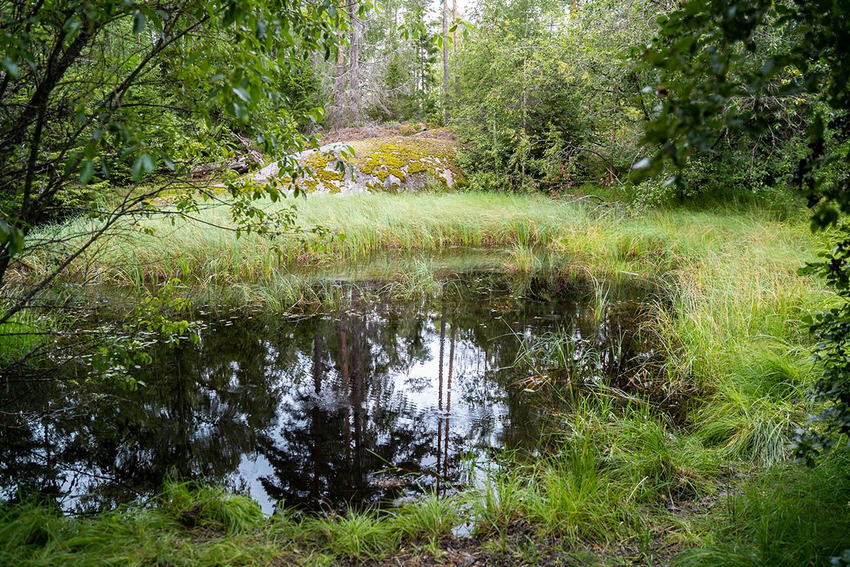 Kokiu atstumu nuo vietos, kurioje stovite, yra mažo kalno viršūnė už vandens?
