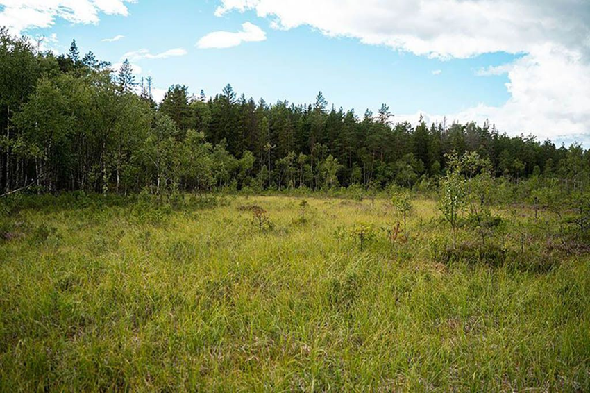 Pelkės žemėlapio ženklas