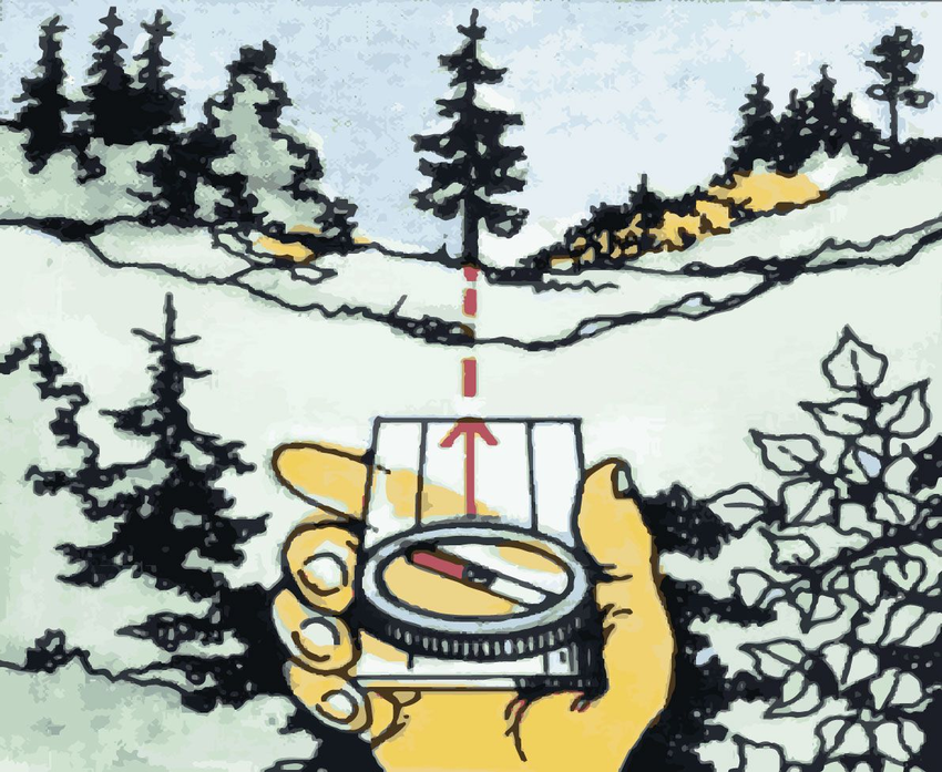 Kompaso adatos, rodančios į medį horizonte