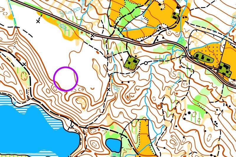 Tolimos horizontalės